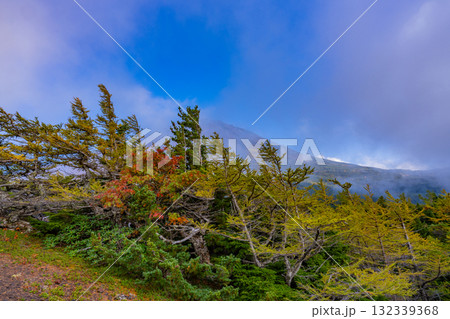 【山梨県】富士山スバルライン奥庭　紅葉が始まった奥庭　夕景 132339368