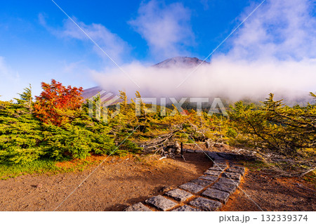 【山梨県】富士山スバルライン奥庭　紅葉が始まった奥庭　夕景 132339374