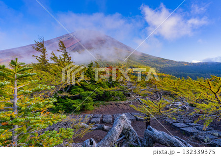 【山梨県】富士山スバルライン奥庭 紅葉が始まった奥庭 夕景 【山梨県】富士山スバルライン奥庭 紅葉が始まった奥庭 夕景 132339375