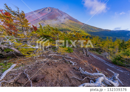 【山梨県】富士山スバルライン奥庭　紅葉が始まった奥庭　夕景 132339376