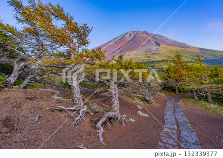 【山梨県】富士山スバルライン奥庭 紅葉が始まった奥庭 夕景 【山梨県】富士山スバルライン奥庭 紅葉が始まった奥庭 夕景 132339377