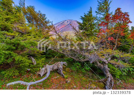 【山梨県】富士山スバルライン奥庭 紅葉が始まった奥庭 夕景 【山梨県】富士山スバルライン奥庭 紅葉が始まった奥庭 夕景 132339378