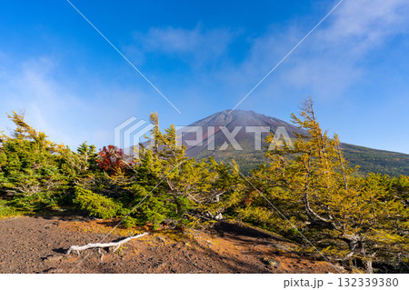 【山梨県】富士山スバルライン奥庭　紅葉が始まった奥庭　夕景 132339380