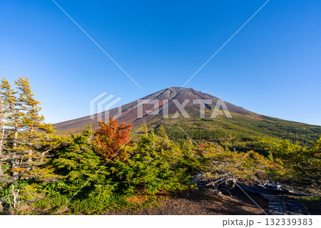 【山梨県】富士山スバルライン奥庭 紅葉が始まった奥庭 夕景 【山梨県】富士山スバルライン奥庭 紅葉が始まった奥庭 夕景 132339383