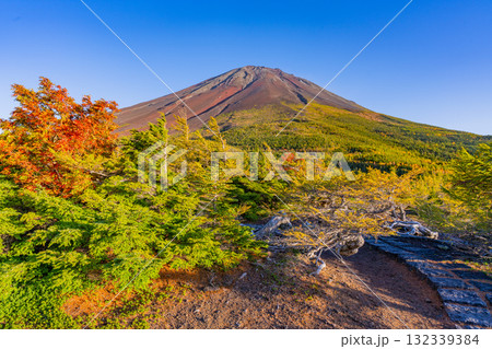 【山梨県】富士山スバルライン奥庭 紅葉が始まった奥庭 夕景 【山梨県】富士山スバルライン奥庭 紅葉が始まった奥庭 夕景 132339384
