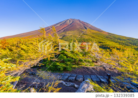 【山梨県】富士山スバルライン奥庭　紅葉が始まった奥庭　夕景 132339385