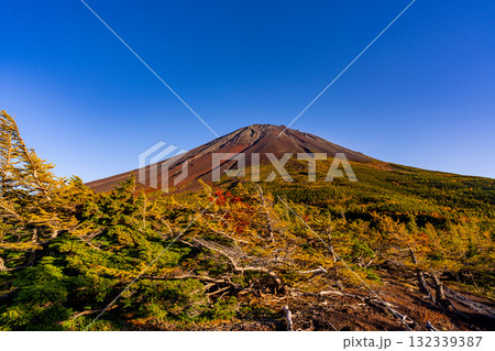 【山梨県】富士山スバルライン奥庭 紅葉が始まった奥庭 夕景 【山梨県】富士山スバルライン奥庭 紅葉が始まった奥庭 夕景 132339387