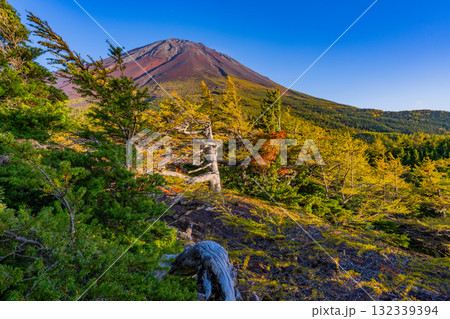 【山梨県】富士山スバルライン奥庭 紅葉が始まった奥庭 夕景 【山梨県】富士山スバルライン奥庭 紅葉が始まった奥庭 夕景 132339394