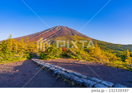 【山梨県】富士山スバルライン奥庭　紅葉が始まった奥庭　夕景 132339397