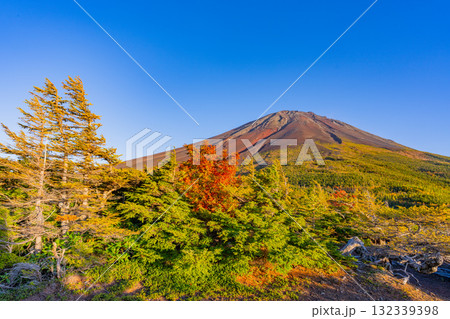 【山梨県】富士山スバルライン奥庭　紅葉が始まった奥庭　夕景 132339398