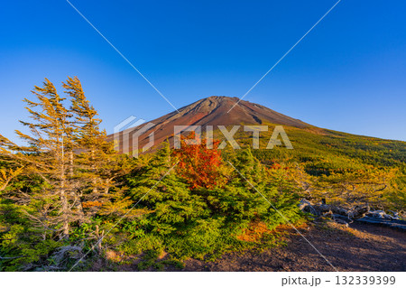 【山梨県】富士山スバルライン奥庭　紅葉が始まった奥庭　夕景 132339399