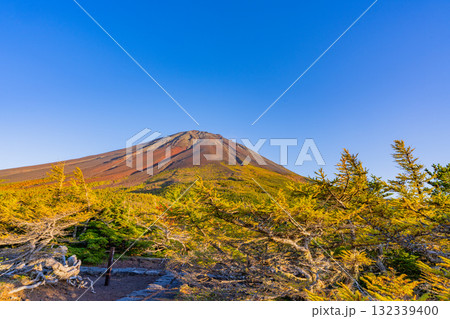 【山梨県】富士山スバルライン奥庭　紅葉が始まった奥庭　夕景 132339400