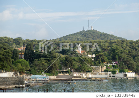 Scenic view of lush greenery and coastal charm on Prince Islands with hills and residential buildings captured on a clear day 132339448