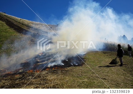 ススキの曽爾高原 秋の山焼き ススキの曽爾高原 秋の山焼き 132339819