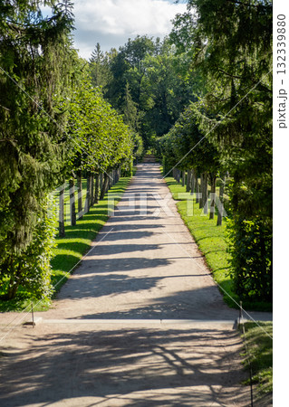 Strolling along the tree-lined path at Catherine Palace in Tsarskoye Selo, Russia during the afternoon sunlight Strolling along the tree-lined path at Catherine Palace in Tsarskoye Selo, Russia during the afternoon sunlight 132339880
