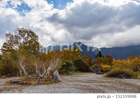 秋の黒部平庭園 132339986
