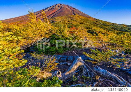 【山梨県】富士山スバルライン奥庭 夕日が枯れ木を照らす 【山梨県】富士山スバルライン奥庭 夕日が枯れ木を照らす 132340040