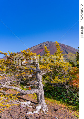 【山梨県】富士山スバルライン　晴天下の奥庭の紅葉 132340312