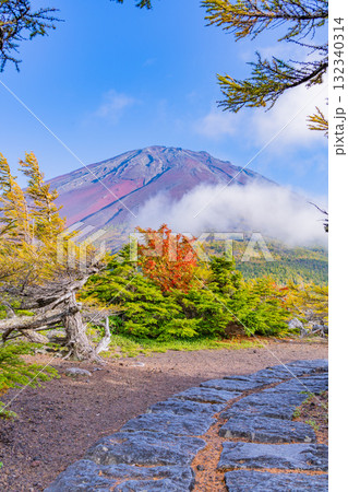 【山梨県】富士山スバルライン 晴天下の奥庭の紅葉 【山梨県】富士山スバルライン 晴天下の奥庭の紅葉 132340314