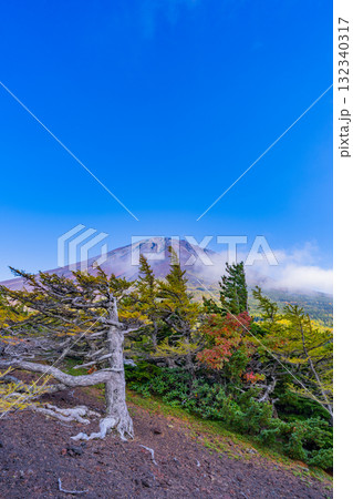 【山梨県】富士山スバルライン 晴天下の奥庭の紅葉 【山梨県】富士山スバルライン 晴天下の奥庭の紅葉 132340317