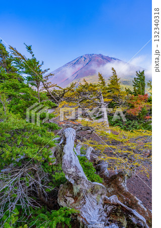 【山梨県】富士山スバルライン　晴天下の奥庭の紅葉 132340318