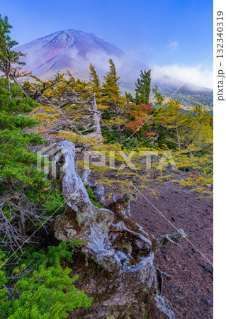 【山梨県】富士山スバルライン 晴天下の奥庭の紅葉 【山梨県】富士山スバルライン 晴天下の奥庭の紅葉 132340319