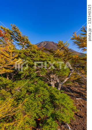 【山梨県】富士山スバルライン 晴天下の奥庭の紅葉 【山梨県】富士山スバルライン 晴天下の奥庭の紅葉 132340325