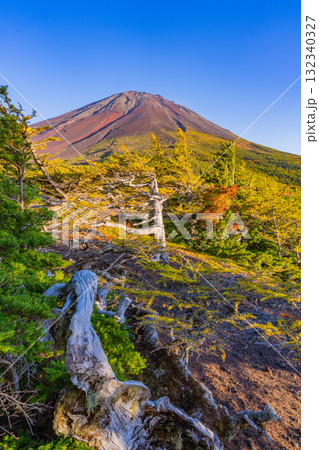 【山梨県】富士山スバルライン　晴天下の奥庭の紅葉 132340327