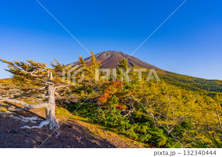 【山梨県】富士山スバルライン 奥庭の紅葉 【山梨県】富士山スバルライン 奥庭の紅葉 132340444