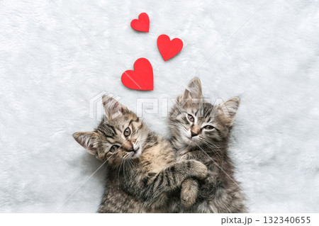 Two cute tabby kittens cuddle together on soft white blanket with three red hearts above them, symbolizing love and affection 132340655