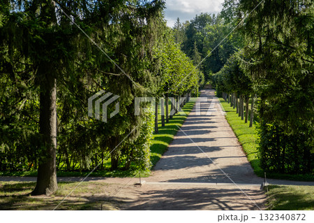 Exploring the serene pathways of Catherine Palaces gardens surrounded by lush greenery 132340872