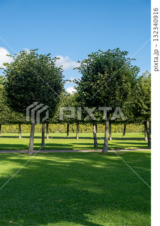 Exploring the lush gardens surrounding the Great Catherine Palace, revealing perfectly shaped trees under a bright blue sky Exploring the lush gardens surrounding the Great Catherine Palace, revealing perfectly shaped trees under a bright blue sky 132340916