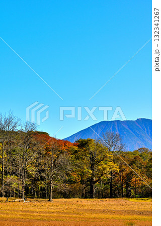 奥日光　秋の西ノ湖から見る男体山 紅葉 132341267