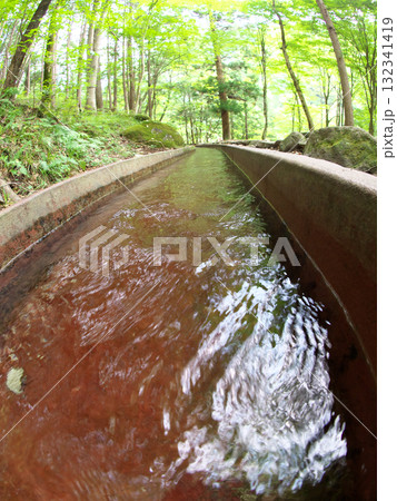 新緑に包まれた水路をきれいな水が流れる 132341419