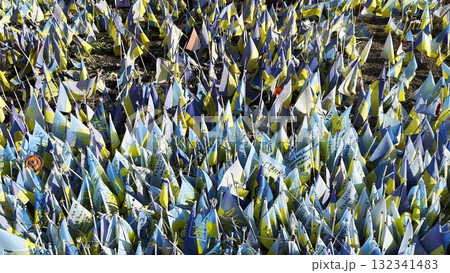 Many small blue-yellow flags with names of the dead war against russia. Memorial of the fallen soldiers, children, women in the capital of Ukraine. Concept of tragedy and misfortune. Close up 132341483