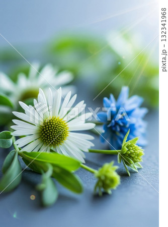 Close Up of White Daisies and Blue Flowers on Gray Surface 132341968