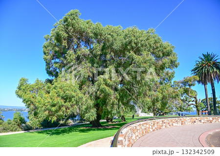 パースにあるキングスパークの美しい風景 132342509