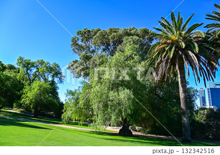 パースにあるキングスパークの美しい風景 132342516