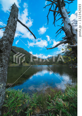 上高地の美しい風景 132342693