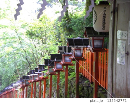 連なる朱塗りの灯籠と提灯（緑に囲まれた神社の回廊） 132342771
