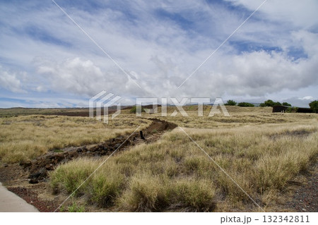 プウコホラ ヘイアウ国立歴史公園の城跡と草原の風景 132342811
