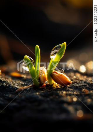Green sprouts emerging from soil, symbolizing resilience amidst isolation and exclusion 132343225