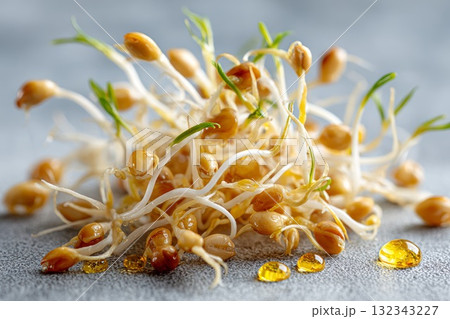 Group of sprouting wheat grains with visible roots symbolizing themes of ostracism and isolation Group of sprouting wheat grains with visible roots symbolizing themes of ostracism and isolation 132343227