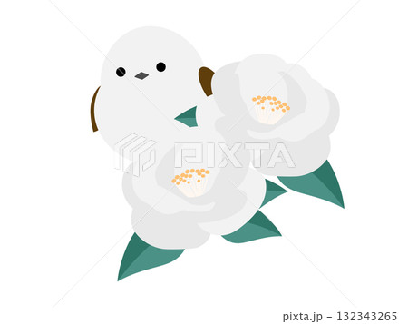 白椿とシマエナガ 132343265