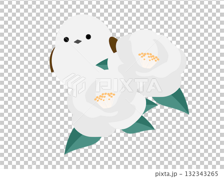 白山茶花和長尾山雀 白山茶花和長尾山雀 132343265