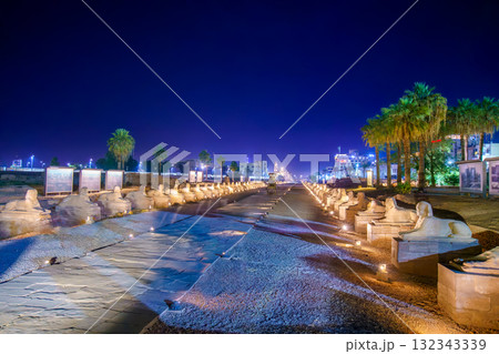 Sphinx Avenue at Luxor Temple Egypt Illuminated at Night with Palm Trees. 132343339