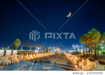 The Illuminated Avenue of Sphinxes and Ancient Columns Luxor Egypt at Night. 132343340