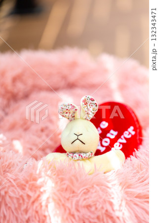 うさぎのぬいぐるみ 132343471