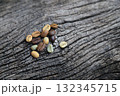 Color roast level of green coffee bean to dark roasted bean on wooden board. top view. 132345715