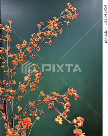 秋の赤い実がついてる枝 秋の赤い実がついてる枝 132345854